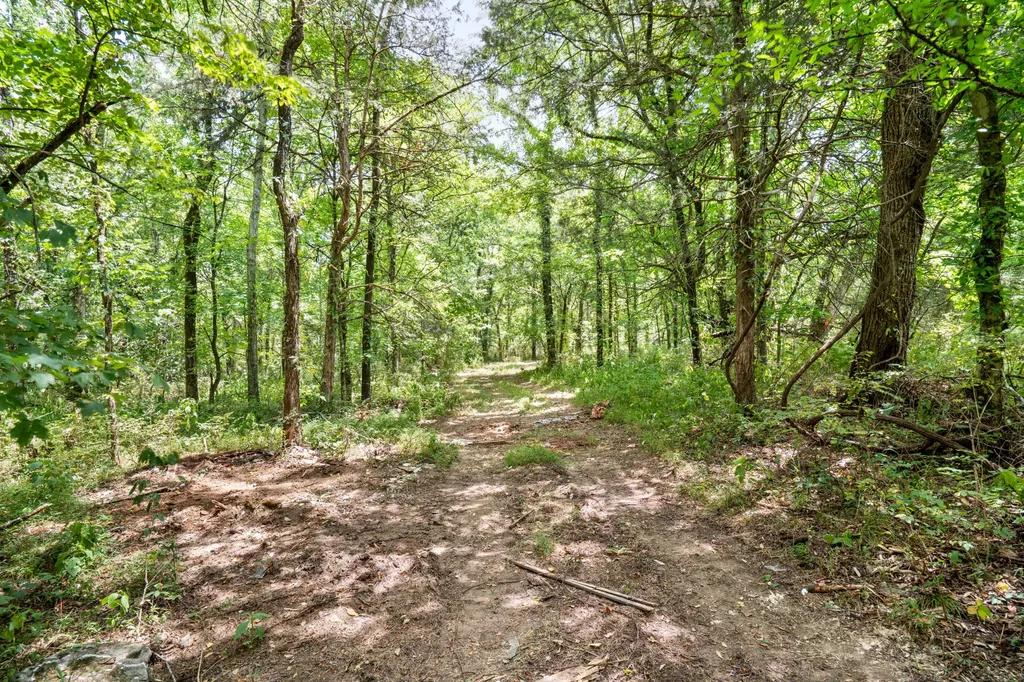 0 Colby Lane Gordonsville TN 38563