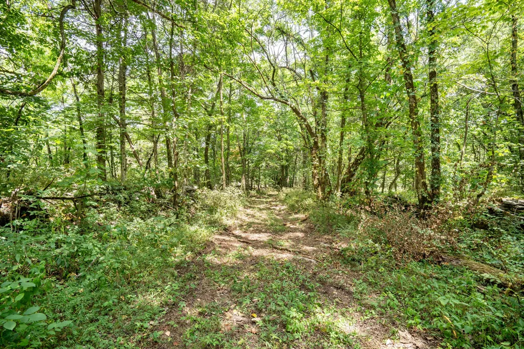 0 Colby Lane Gordonsville TN 38563