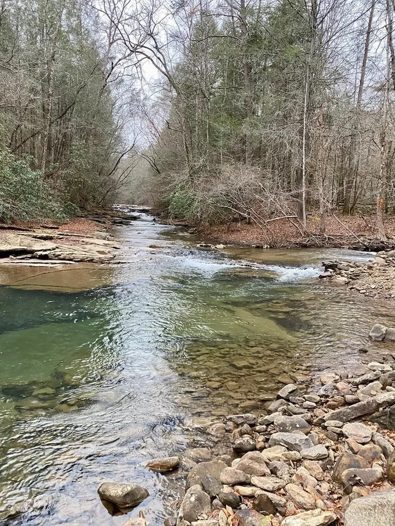 0 Soak Creek Lane Grandview TN 37337