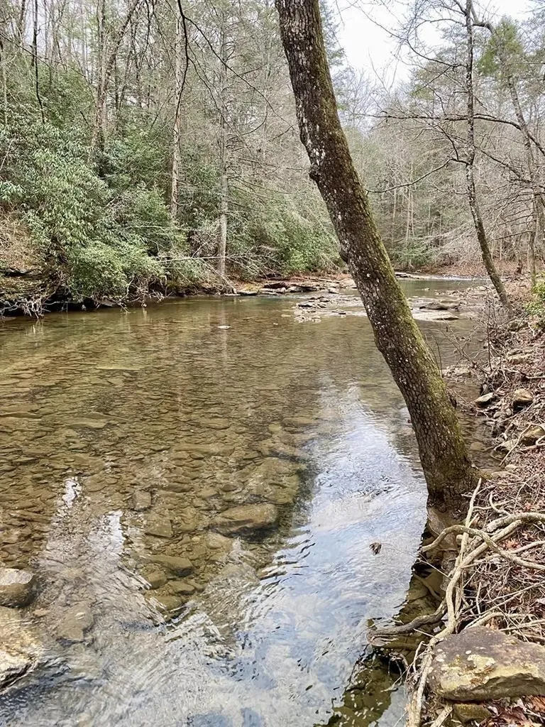 0 Soak Creek Lane Grandview TN 37337