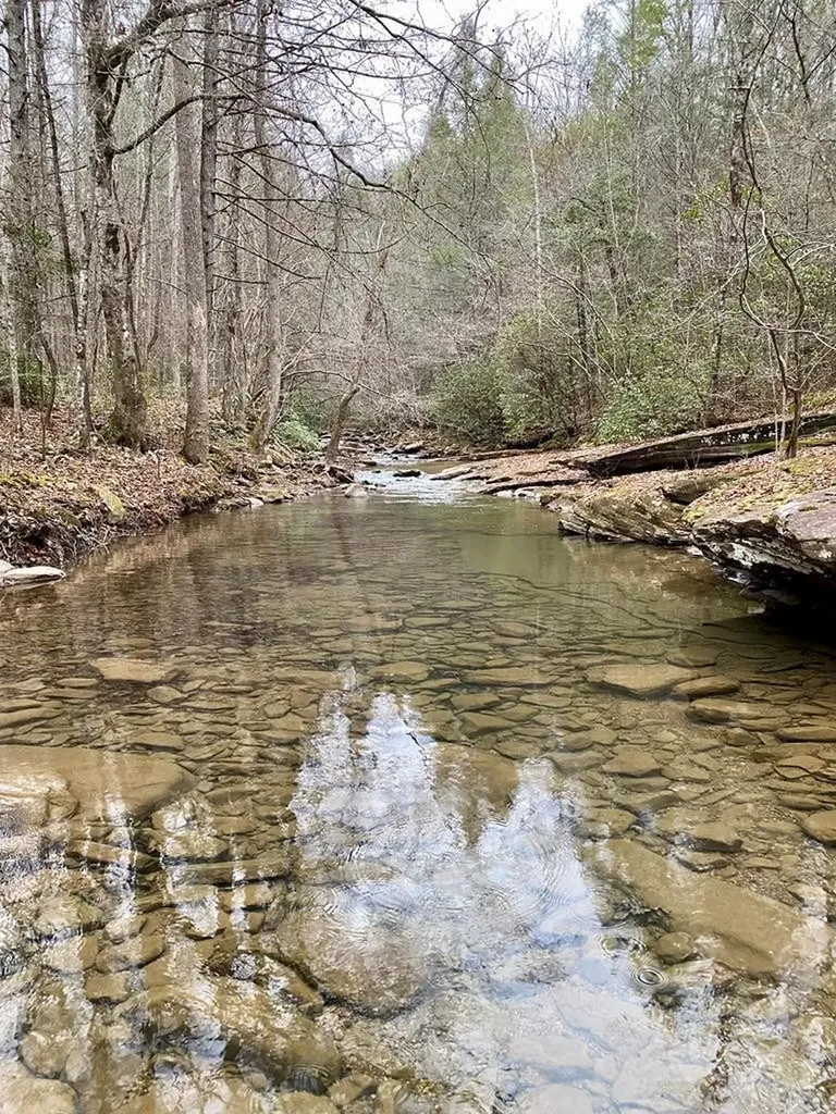0 Soak Creek Lane Grandview TN 37337