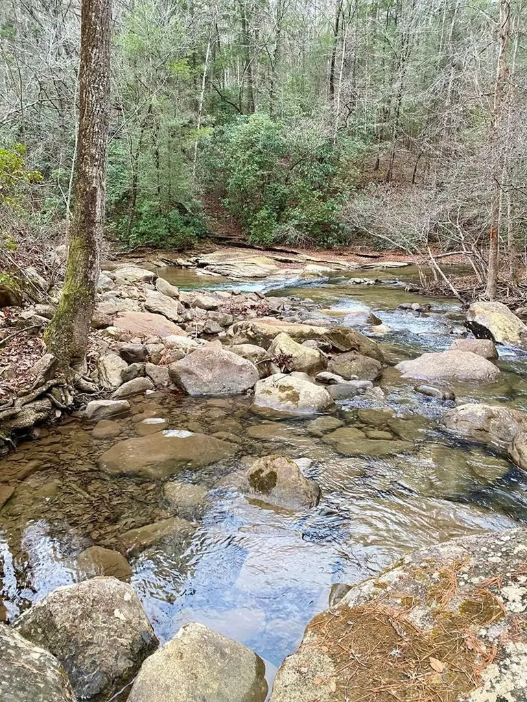 0 Soak Creek Lane Grandview TN 37337