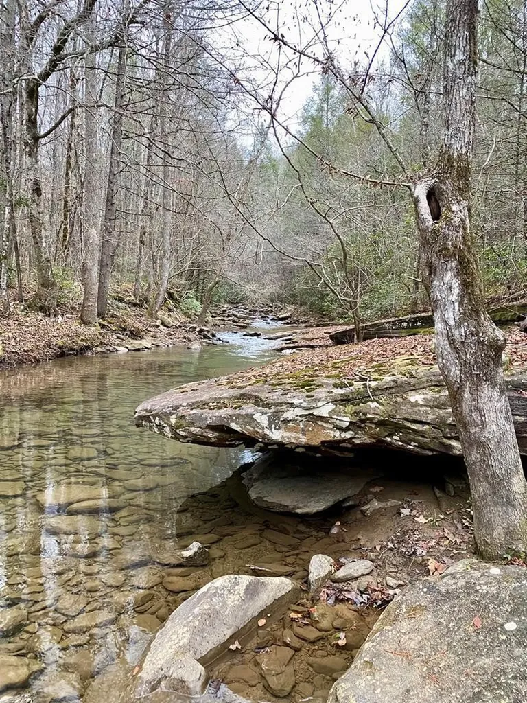 0 Soak Creek Lane Grandview TN 37337