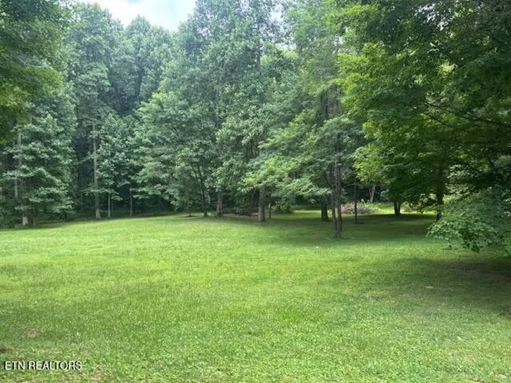 331 Briley Road Spring City TN 37381