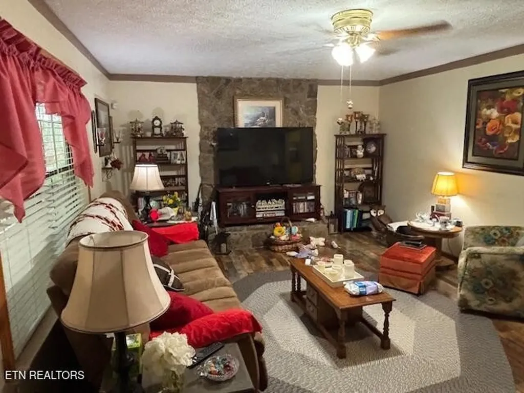 331 Briley Road Spring City TN 37381