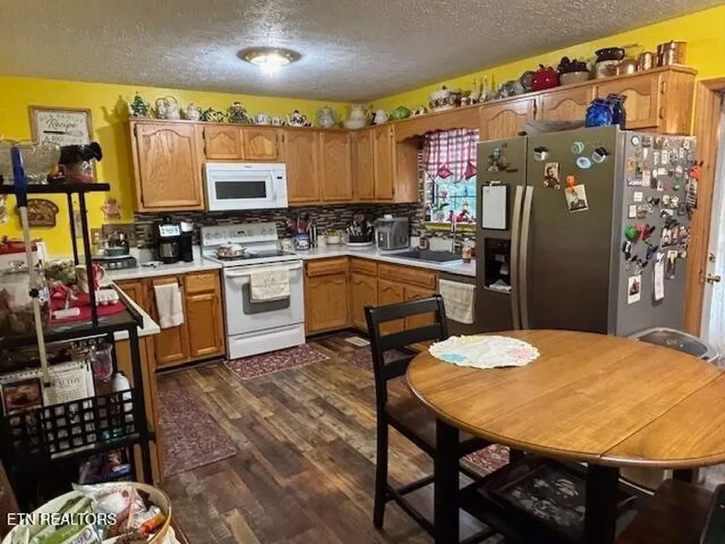 331 Briley Road Spring City TN 37381
