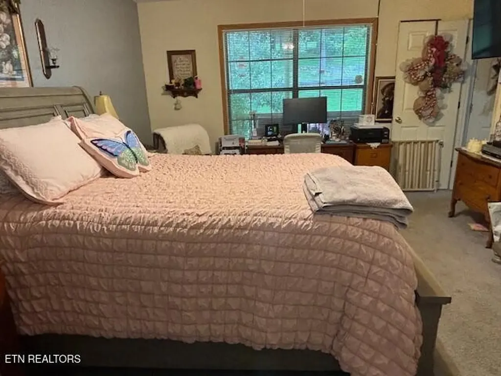 331 Briley Road Spring City TN 37381