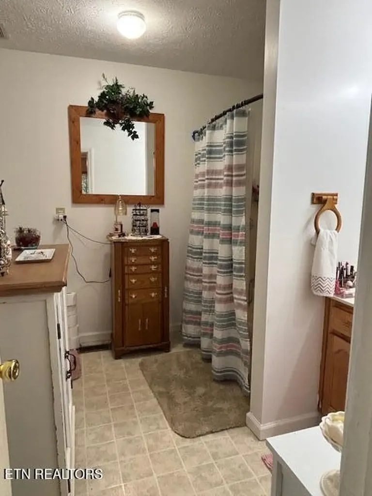 331 Briley Road Spring City TN 37381
