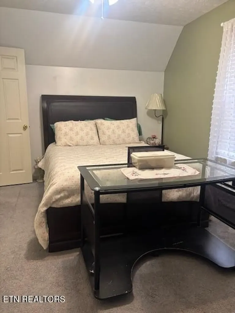 331 Briley Road Spring City TN 37381