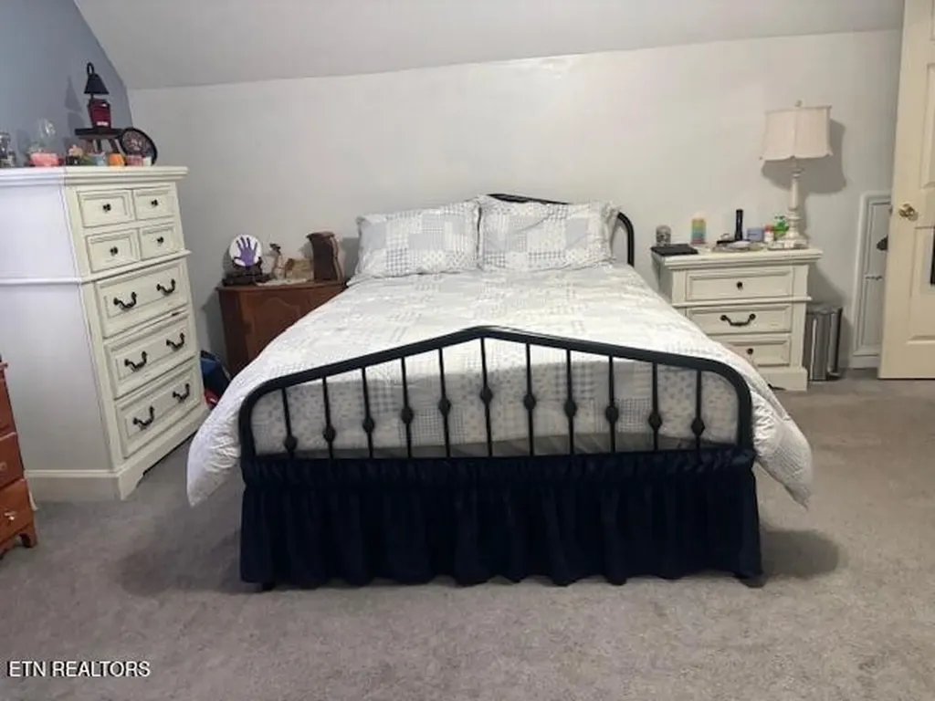 331 Briley Road Spring City TN 37381