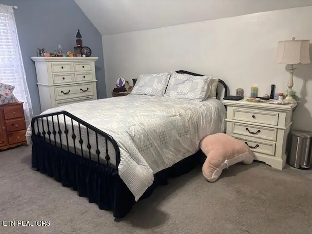 331 Briley Road Spring City TN 37381
