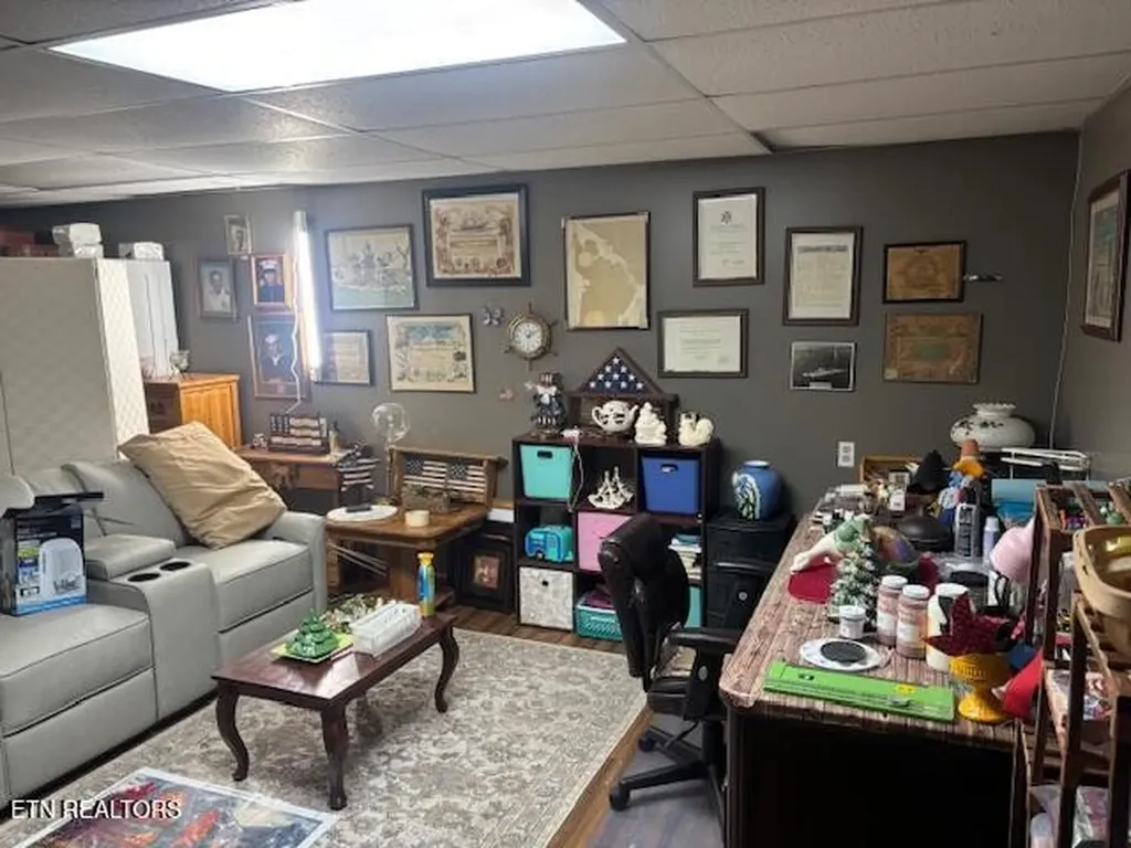 331 Briley Road Spring City TN 37381