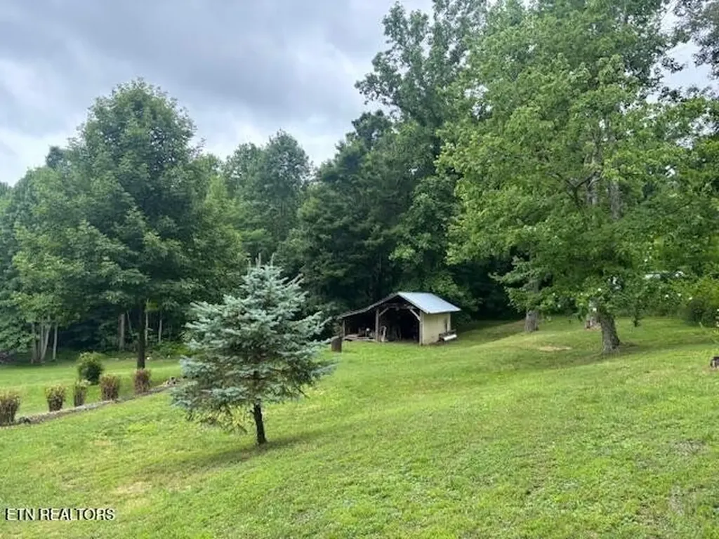 331 Briley Road Spring City TN 37381