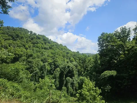 1142 Trace Creek Road Whitleyville TN 38588