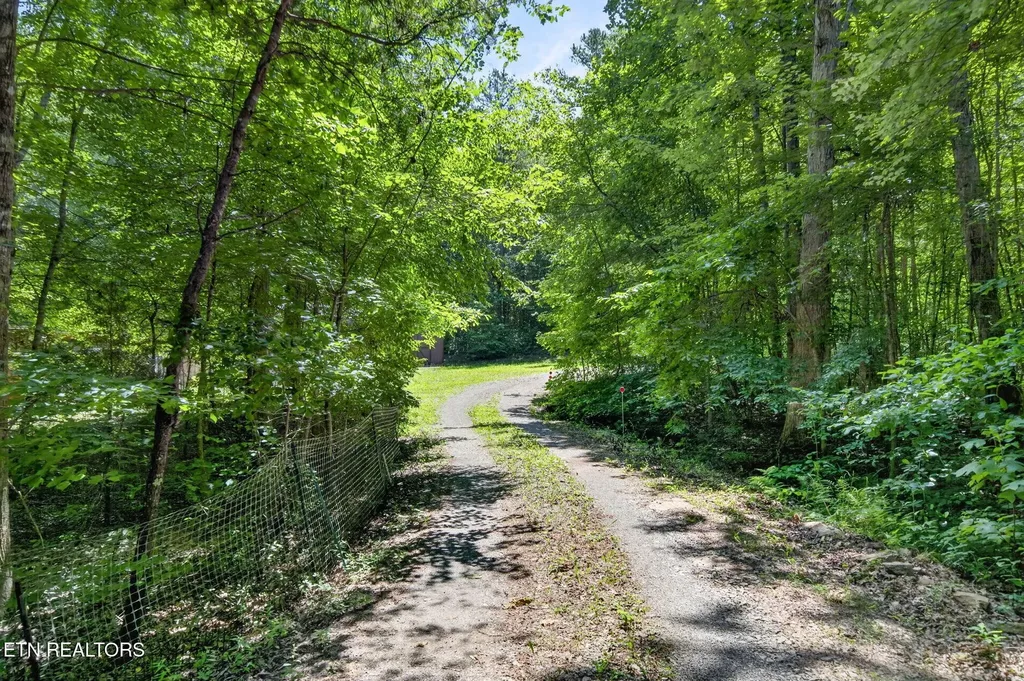 1007 Parkstown Extension Wilder TN 38589