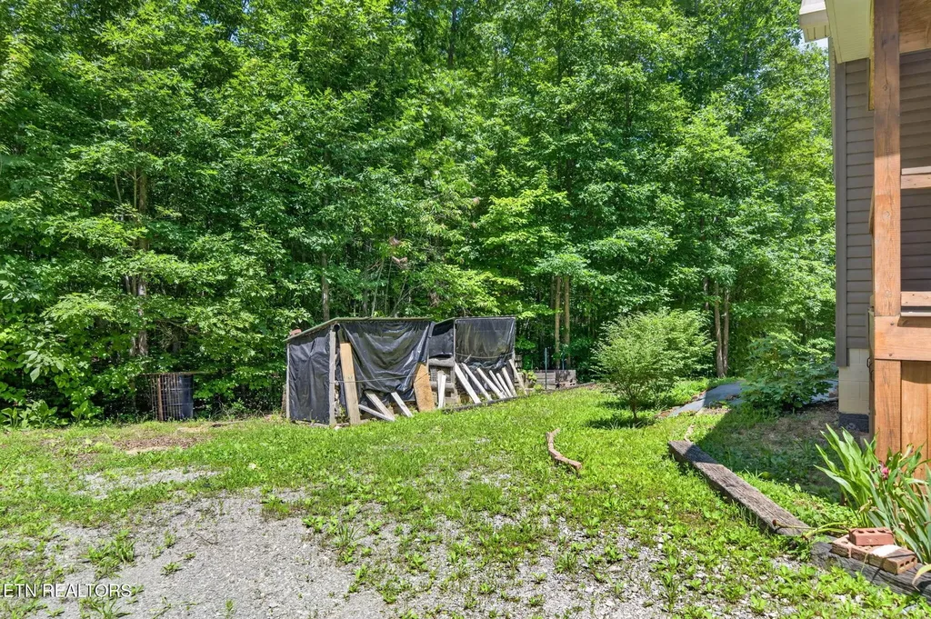 1007 Parkstown Extension Wilder TN 38589