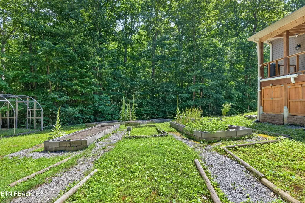 1007 Parkstown Extension Wilder TN 38589