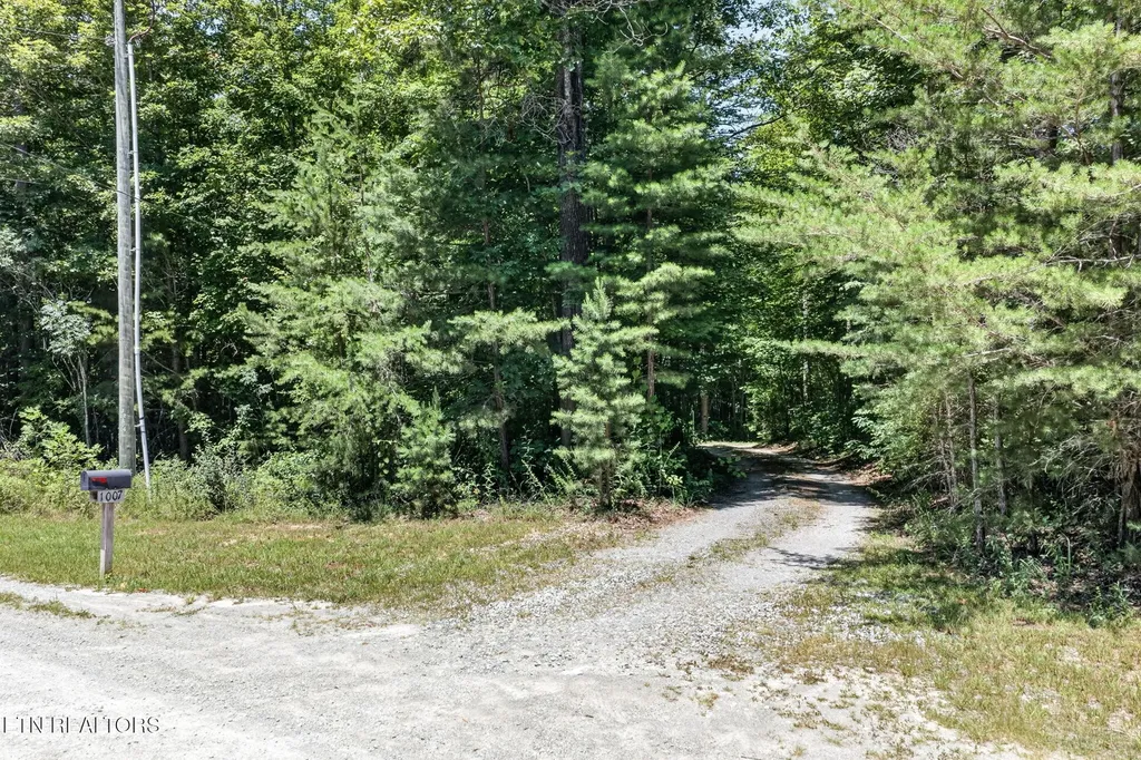 1007 Parkstown Extension Wilder TN 38589