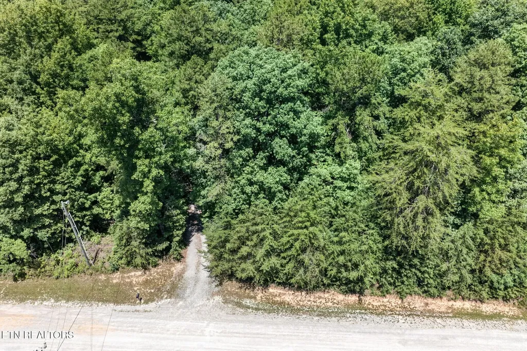 1007 Parkstown Extension Wilder TN 38589