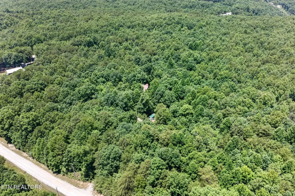 1007 Parkstown Extension Wilder TN 38589