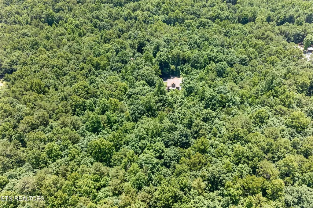 1007 Parkstown Extension Wilder TN 38589