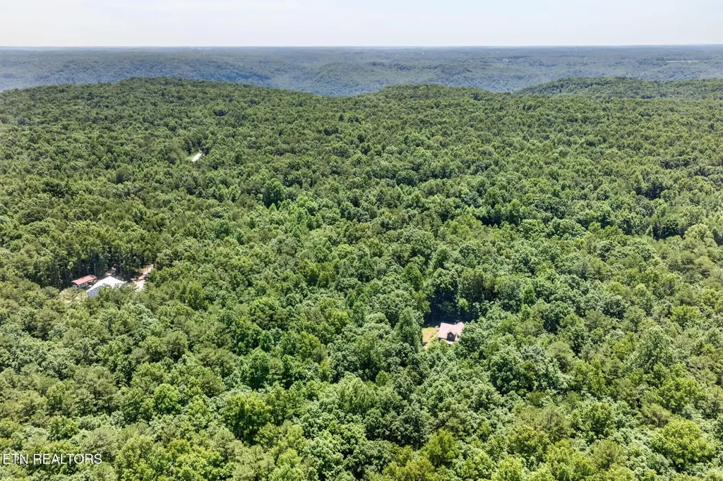 1007 Parkstown Extension Wilder TN 38589