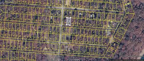 0 Crappie Lot 17 Buchanan TN 38222