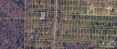 0 Bream Dr Lot 37 Buchanan TN 38222