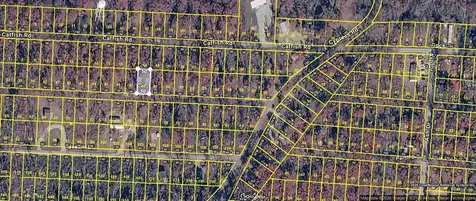 0 Carp Dr Lot 48 Buchanan TN 38222