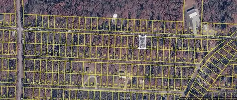 0 Catfish Dr Lot 19 Buchanan TN 38222