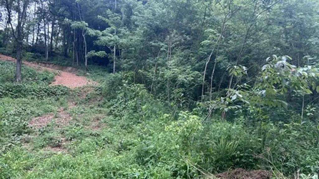 2627 Roy Dodson Road Columbia TN 38401