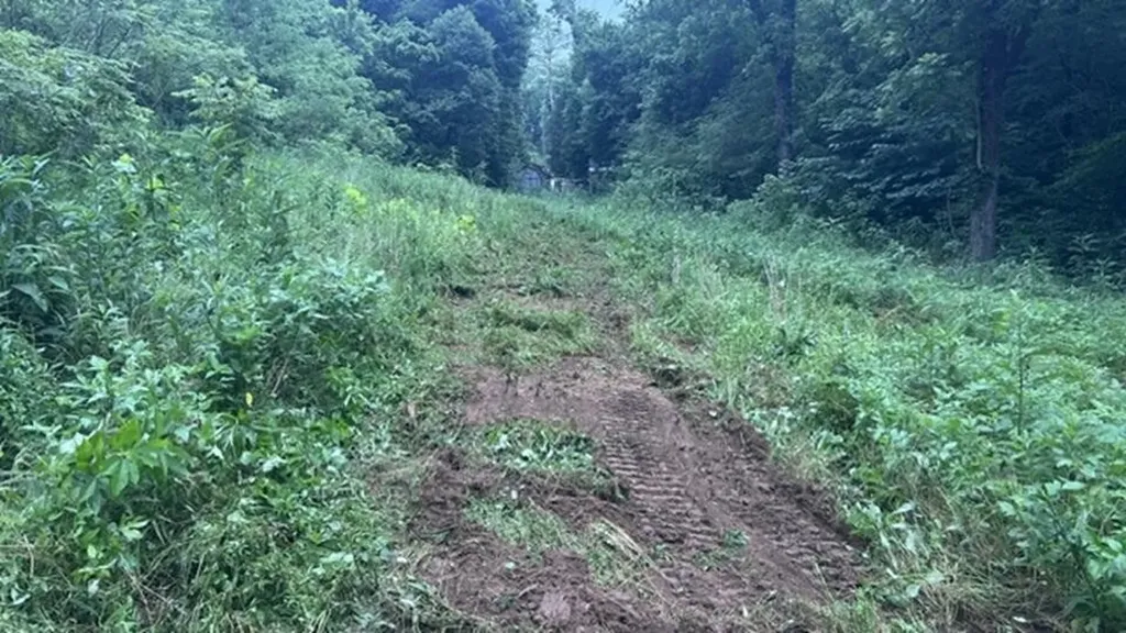 2627 Roy Dodson Road Columbia TN 38401