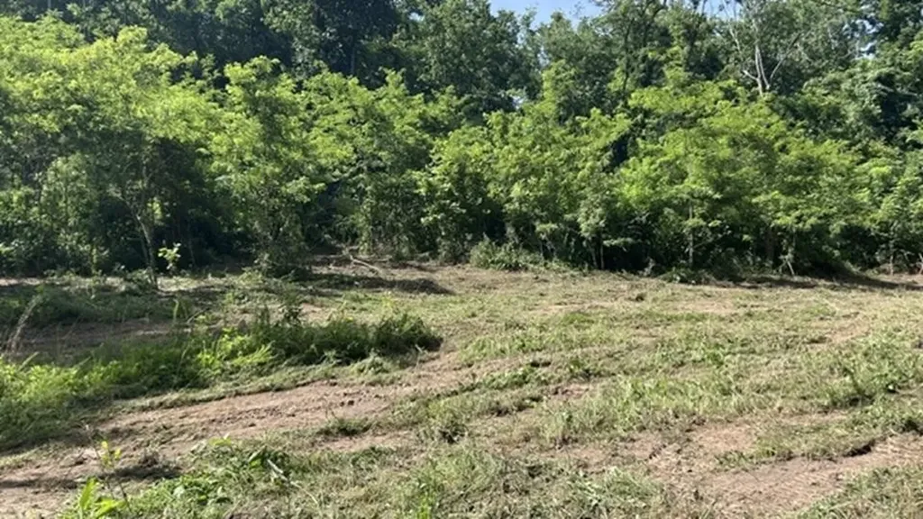 2627 Roy Dodson Road Columbia TN 38401