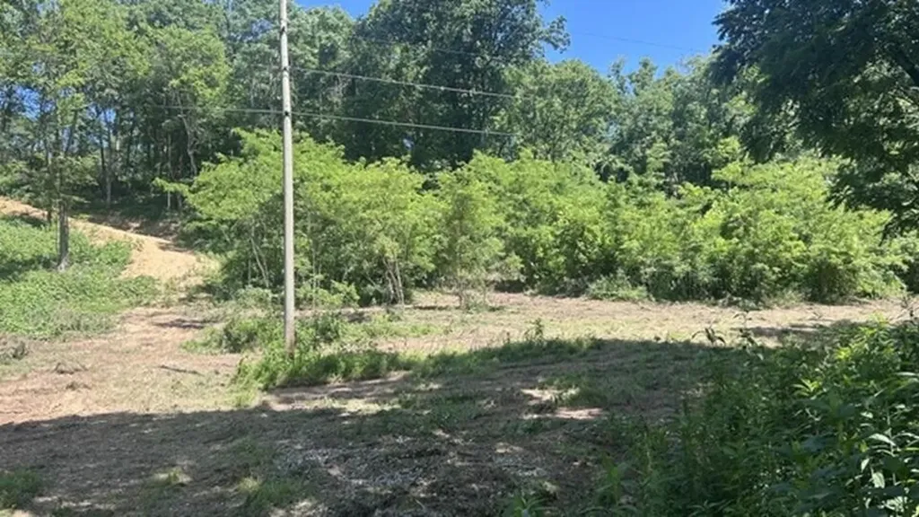 2627 Roy Dodson Road Columbia TN 38401