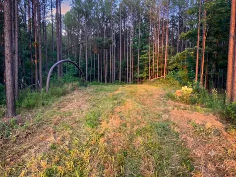 0 Adaleighs Way Big Sandy TN 38221