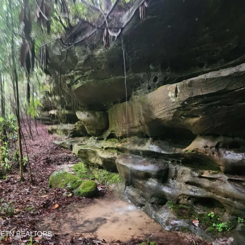 186 Crockett Cemetery Road Jamestown TN 38556