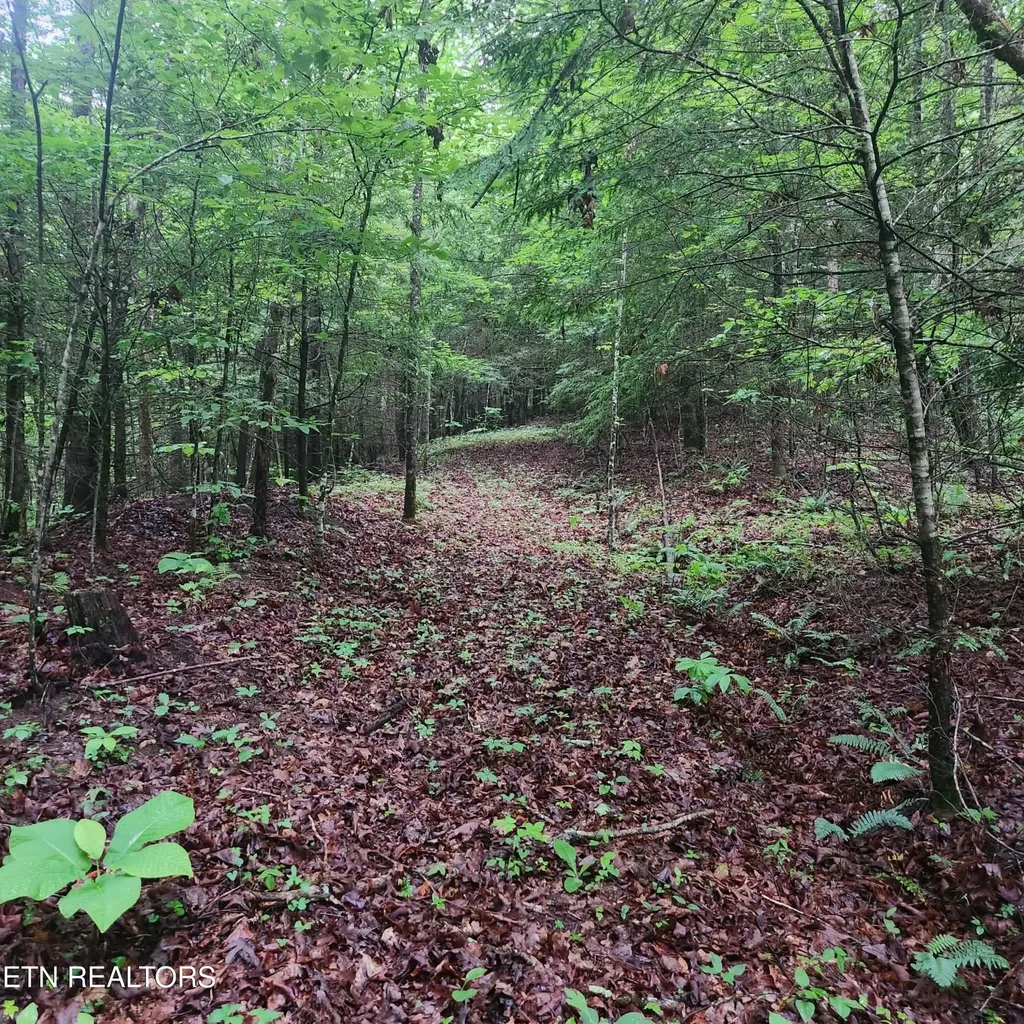 186 Crockett Cemetery Road Jamestown TN 38556
