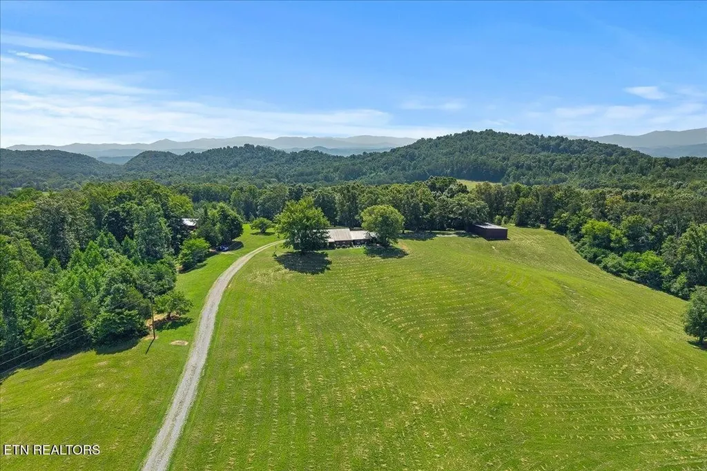 910 Reagan Valley Road Tellico Plains TN 37385