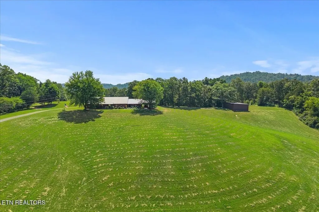 910 Reagan Valley Road Tellico Plains TN 37385