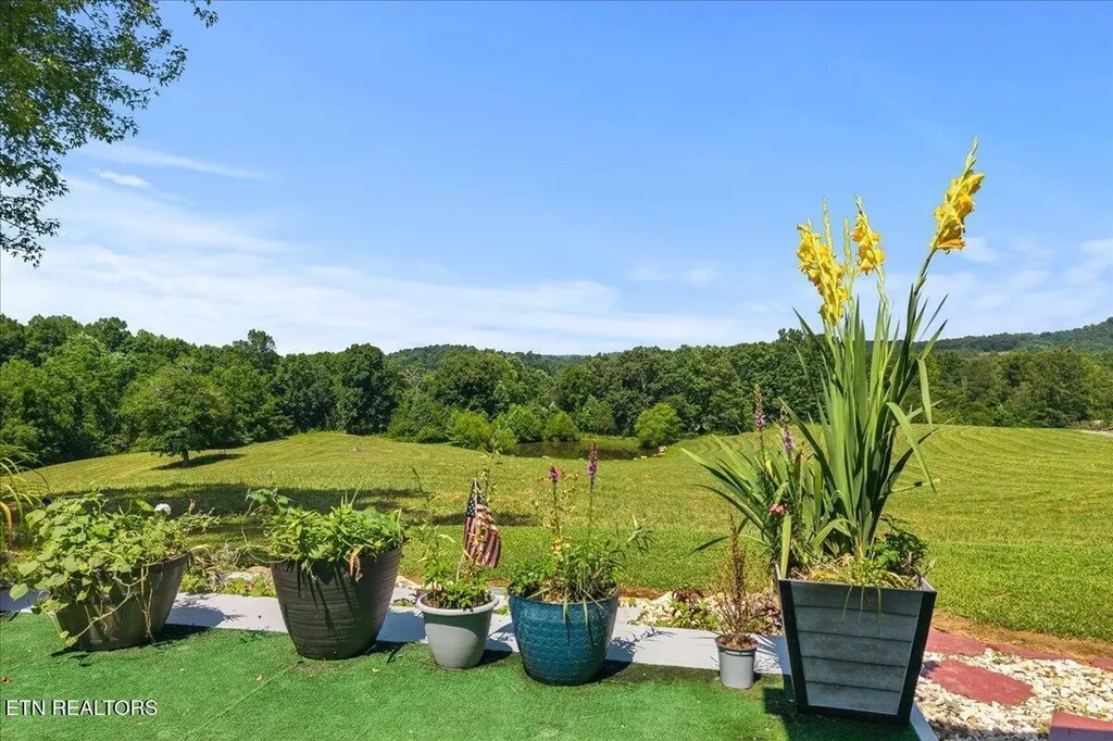 910 Reagan Valley Road Tellico Plains TN 37385