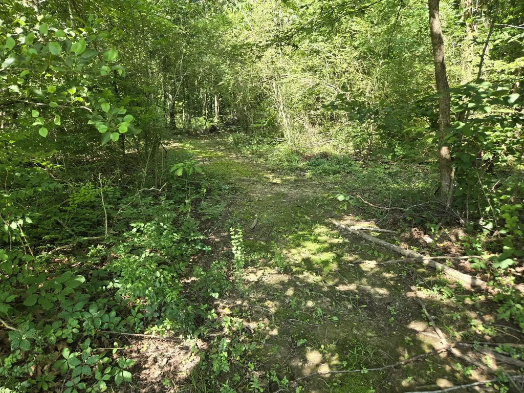 415 River Oaks Drive New Johnsonville TN 37134