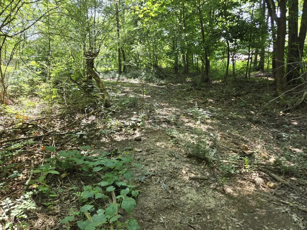 415 River Oaks Drive New Johnsonville TN 37134