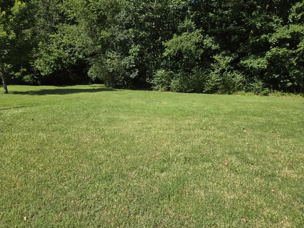 415 River Oaks Drive New Johnsonville TN 37134