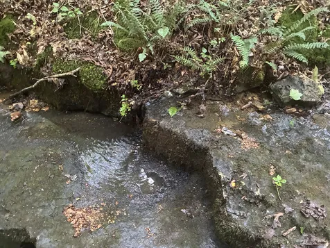 215 Clear Creek Road Leoma TN 38468