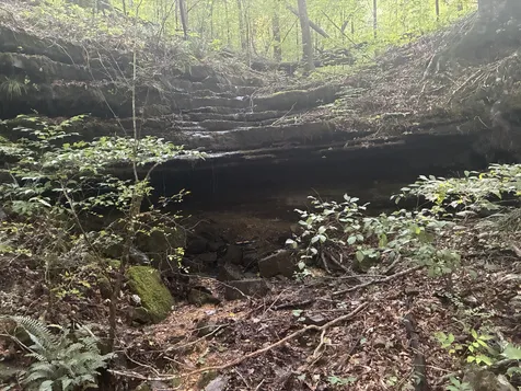 215 Clear Creek Road Leoma TN 38468