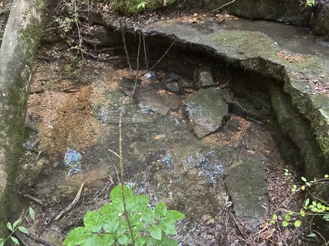 215 Clear Creek Road Leoma TN 38468