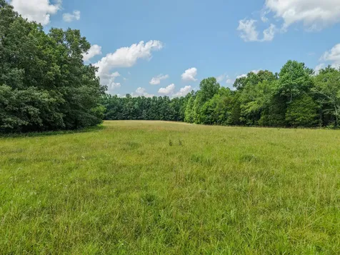 215 Clear Creek Road Leoma TN 38468