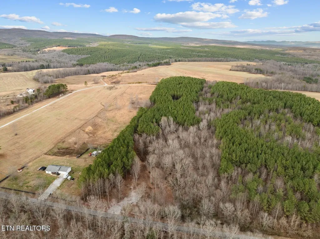 185 Mt Vernal Road Rockwood TN 37854