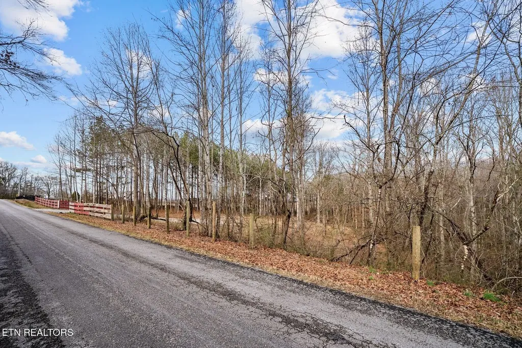 185 Mt Vernal Road Rockwood TN 37854