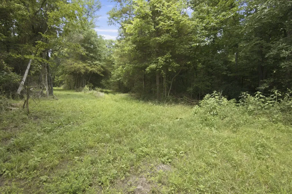 0 Bethleham Church Road Shelbyville TN 37160
